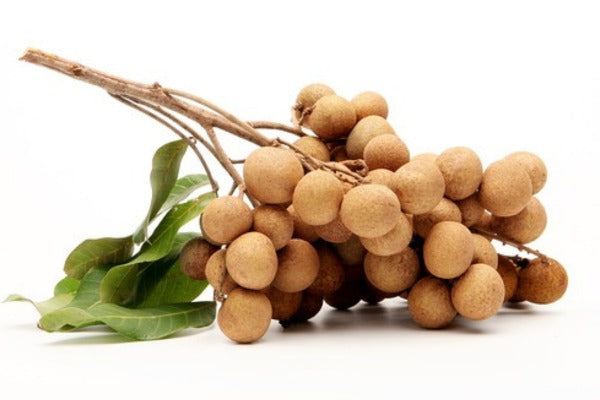 Longan Lychee - Thailand