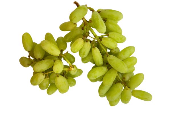 Green Seedless Grapes(Export Qulity) - India