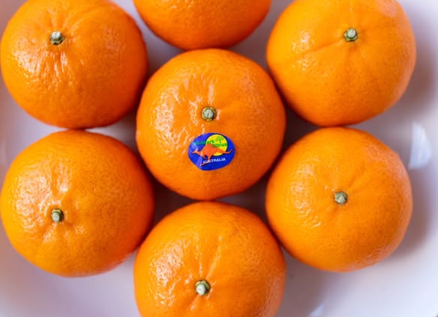 Mini Orange (Mandarin) - Australia