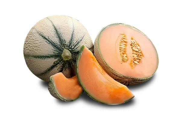 Musk Melon - India