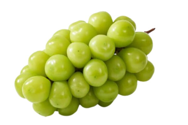 Premium Shine Muscat grapes- China