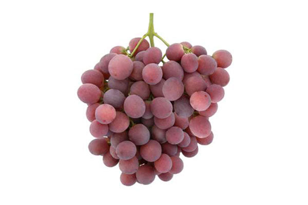 Red Globe Grapes(Export Quality) - India