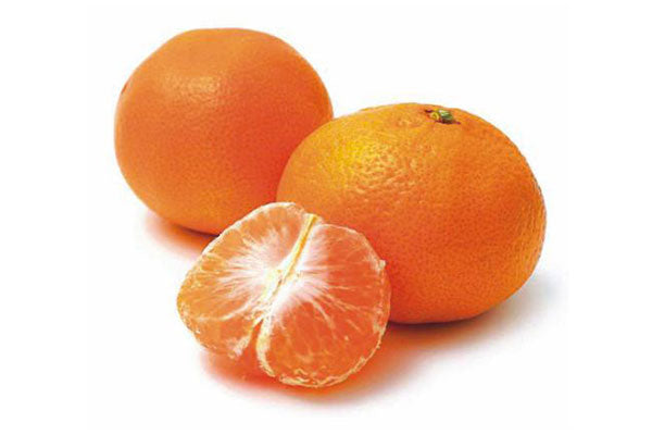 Mini Orange (Mandarin) - China