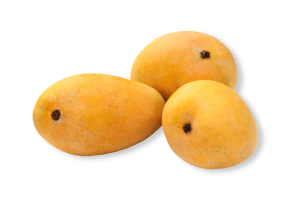 Safeda Mango - India