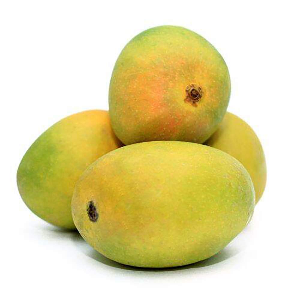 Pairi mango - India