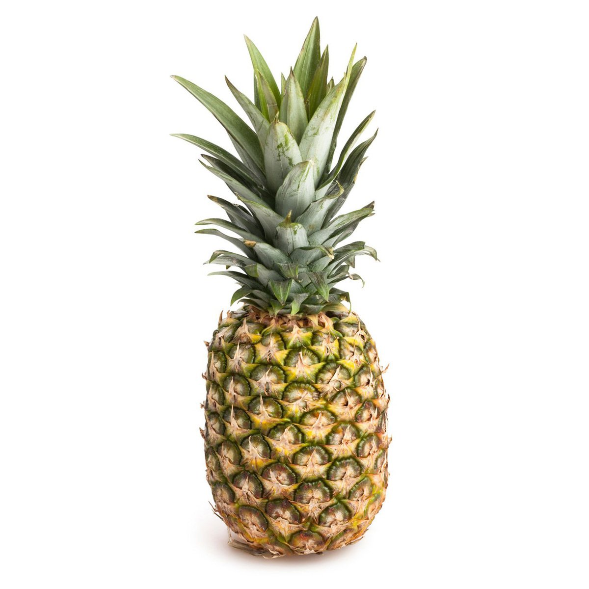 Pineapple(Large) - India